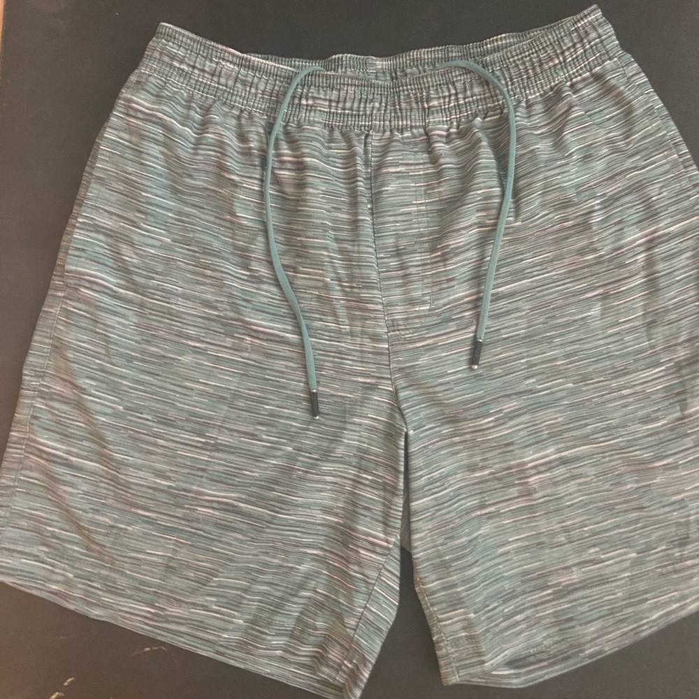 Chubbies Black and Green Striped Shorts